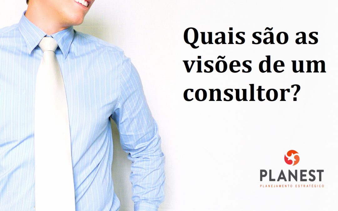 Quais as visões de um consultor?